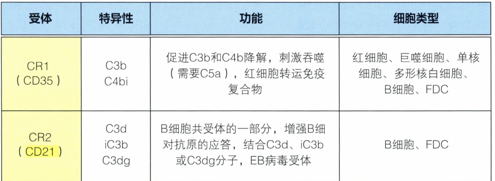 CD21.png