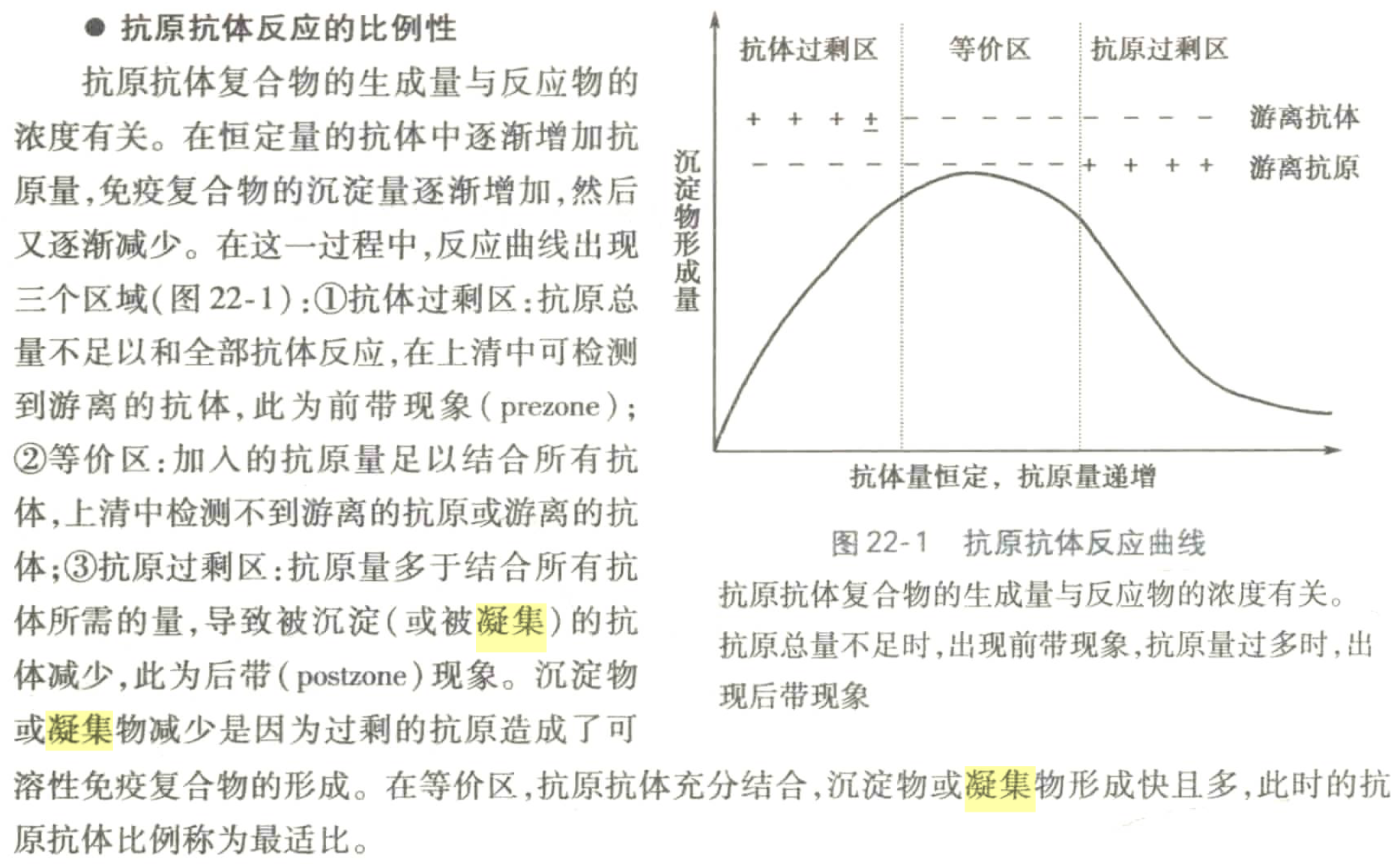 attachment/抗原抗体反应的比例性.png
